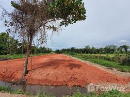  Grundstück zu verkaufen in Mueang Surat Thani, Surat Thani, Bang Sai, Mueang Surat Thani