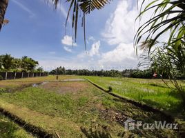  Grundstück zu verkaufen in Tabanan, Bali, Kediri