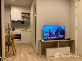 1 Bedroom Condo for rent at The Privacy Rama 9 , Suan Luang