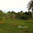  Land for sale in Phuket, Pa Khlok, Thalang, Phuket