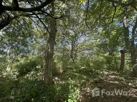  Grundstück zu verkaufen im Alajuela, San Ramon