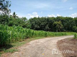  Land for sale in Loei, Pak Chom, Pak Chom, Loei