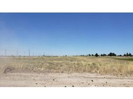 Land for sale in Argentina, Patagones, Buenos Aires, Argentina