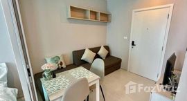 Unités disponibles à Summer Suites