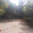  Land for sale in Antioquia, Guarne, Antioquia