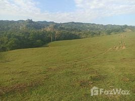  Terreno (Parcela) en venta en Puerto Plata, San Felipe De Puerto Plata