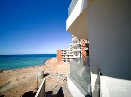 Appartement Studio à vendre à Storia Del Mare, Al Fondok St.
