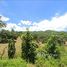  Land for sale in Lamphun, Tha Sopsao, Mae Tha, Lamphun