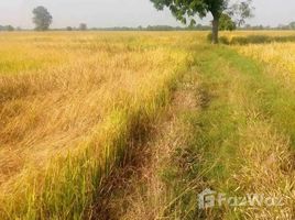  Land for sale in Ban Mi, Lop Buri, Nong Mueang, Ban Mi