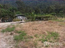 N/A Tanah untuk dijual di Pulau Betong, Penang 182 Rai Land in the Center of Penang