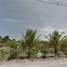  Land for sale in Khlong Yong, Nakhon Pathom, Khlong Yong, Phutthamonthon, Nakhon Pathom