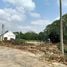  Land for sale in San Klang, San Pa Tong, San Klang