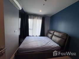 อพาร์ทเม้นท์ 1 ห้องนอน ให้เช่า ในโครงการ ไลฟ์ อโศก พระราม 9, มักกะสัน