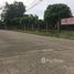  Land for sale in Chiang Mai, Nong Chom, San Sai, Chiang Mai