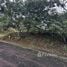 在Guanacaste出售的 土地, Santa Cruz, Guanacaste