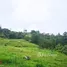  Land for sale in Colombia, Medellin, Antioquia, Colombia