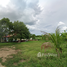  Land for sale in Lan Krabue, Kamphaeng Phet, Lan Krabue, Lan Krabue