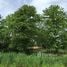  Land for sale in Ratchaburi, Bang Tanot, Photharam, Ratchaburi