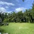  Land for sale in Ban Na Doem, Surat Thani, Na Tai, Ban Na Doem