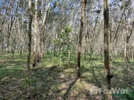  Land for sale in Songkhla, Tha Chang, Bang Klam, Songkhla