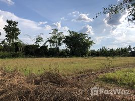 在清迈出售的 土地, San Phak Wan, 杭东, 清迈