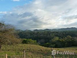  Terrain for sale in Alajuela, Atenas, Alajuela