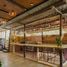 Studio Boutique for rent in Costa Rica, San Rafael, Heredia, Costa Rica