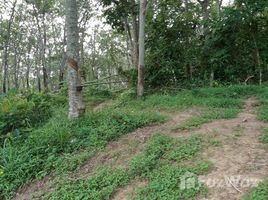 N/A Land for sale in Chalong, Phuket LAND FOR SALE SOI YOT SANE 1 - 14 Rai