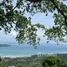 ขายที่ดิน ใน ตลิ่งงาม, สุราษฎร์ธานี, ตลิ่งงาม, เกาะสมุย