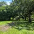  Terreno (Parcela) en venta en Costa Rica, Orotina, Alajuela, Costa Rica