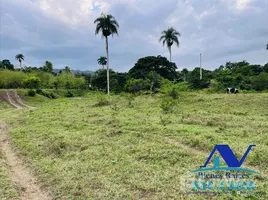 Terrain à vendre à Imbert, Puerto Plata, Imbert