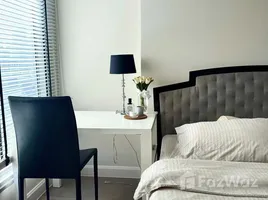 1 Bedroom Condo for rent at The Crest Sukhumvit 34, Khlong Tan, Khlong Toei, Bangkok, Thailand
