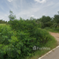  Land for sale in Prachuap Khiri Khan, Na Hu Kwang, Thap Sakae, Prachuap Khiri Khan