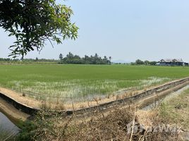  Land for sale in Kanchanaburi, Ban Mai, Tha Muang, Kanchanaburi