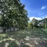  Land for sale in Mae Hia, Chiang Mai, Mae Hia