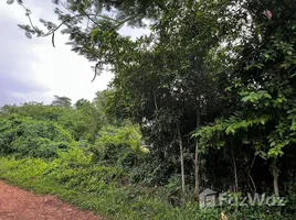 ขายที่ดิน ใน หนองยาว, สระบุรี, หนองยาว, เมืองสระบุรี, สระบุรี, ไทย