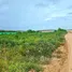  Land for sale in Map Kha, Rayong, Map Kha, Nikhom Phatthana