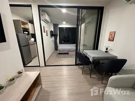 คอนโด 1 ห้องนอน ให้เช่า ในโครงการ ดีคอนโด รีฟ ภูเก็ต, กะทู้, กะทู้