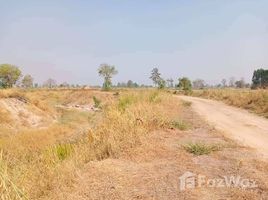  Grundstück zu verkaufen in Doem Bang Nang Buat, Suphan Buri, Bo Kru, Doem Bang Nang Buat, Suphan Buri