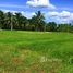  Land for sale in Damnoen Saduak, Ratchaburi, Don Kruai, Damnoen Saduak