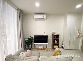 1 Schlafzimmer Appartement zu verkaufen im Chambers On-Nut Station, Bang Chak