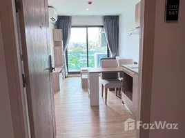 คอนโด 1 ห้องนอน ให้เช่า ในโครงการ ดิ เอ็กเซล ไฮด์อะเวย์ สุขุมวิท 50 , พระโขนง, คลองเตย