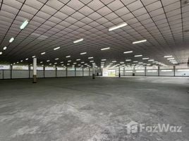 在泰国出售的 大商店, Nong Samsak, Ban Bueng, 春武里, 泰国