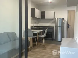 1 Bedroom Condo for rent at ARLO Sukhumvit 105 - Lasalle, Bang Na, Bang Na, Bangkok, Thailand