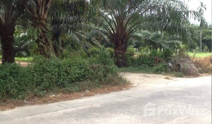 N/A Land for sale in Na Toei, Phangnga 