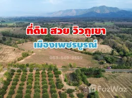 ขายที่ดิน ใน นาป่า, เพชรบูรณ์, นาป่า, เมืองเพชรบูรณ์