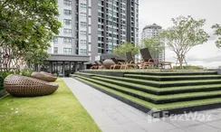 写真 3 of the Communal Garden Area at The Base Park West Sukhumvit 77