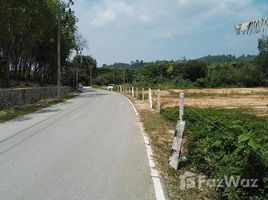 N/A Land for sale in Sakhu, Phuket Land For Sale At Naithon Beach