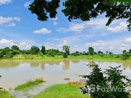 ขายที่ดิน ใน หนองแวง, ขอนแก่น, หนองแวง, พระยืน