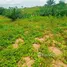  Terreno (Parcela) en venta en Gomoa, Central, Gomoa
